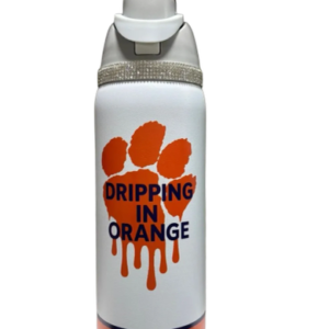 Dripping in Orange Tumbler/Water Bottle